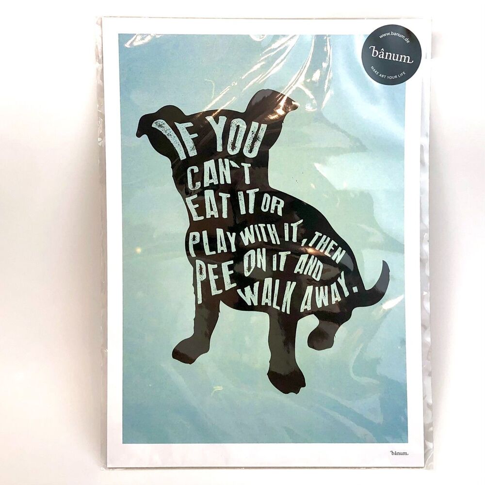 Y2K 2000s Vintage Banum Poster Funny Dog Humor Wall Art 8x12 Collectible